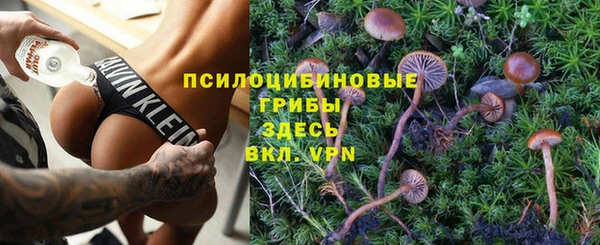 скорость Алзамай